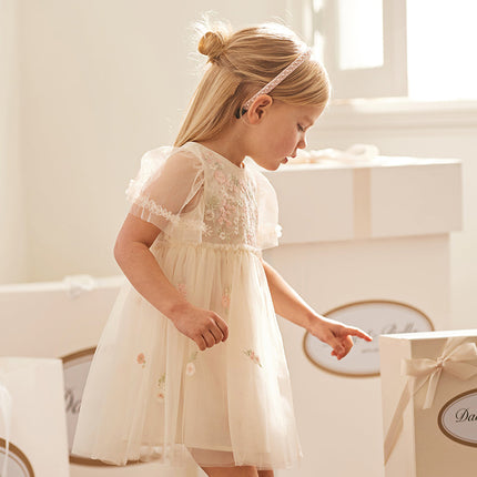 Toddler Girls Summer Noble Flower Embroidery Mesh Princess Dress