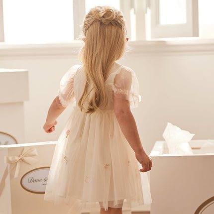 Toddler Girls Summer Noble Flower Embroidery Mesh Princess Dress