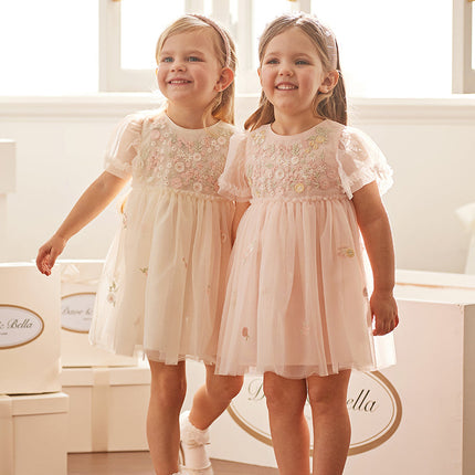 Toddler Girls Summer Noble Flower Embroidery Mesh Princess Dress