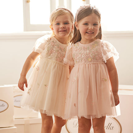 Toddler Girls Summer Noble Flower Embroidery Mesh Princess Dress