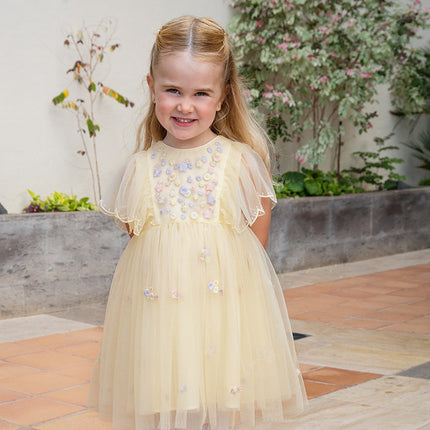 Girls Toddler Summer Yellow Mesh Princess Dress