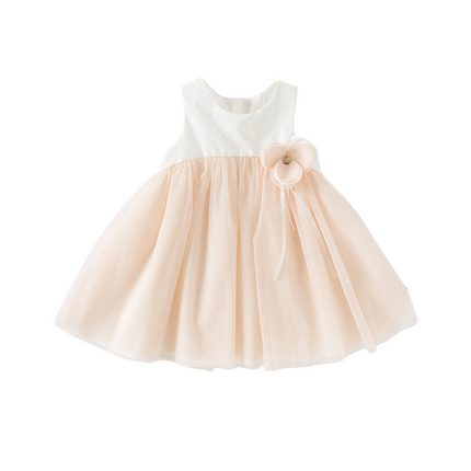 Girls Summer Light Pink Floral Mesh Princess Dress