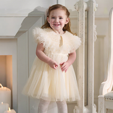 Kids Girls Summer Noble Champagne Sleeveless Mesh Party Dress(with shawl)