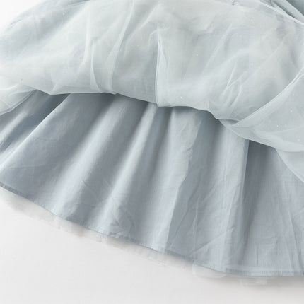 Toddler Girls Elegance Grey Blue Mesh Charming Princess Dress