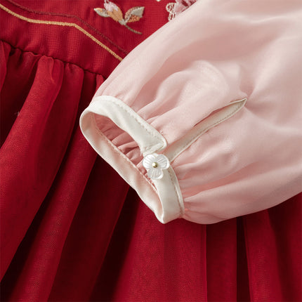 Toddler Girls Adorable Drak Red Chinese Style Elegant Mesh Princess Dress