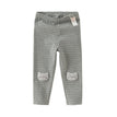 Grey Striped
