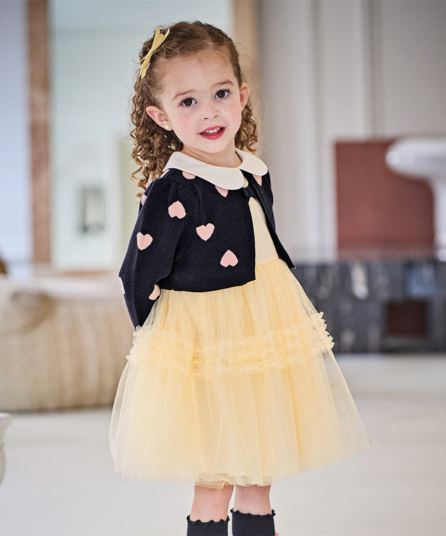Toddler Girls Navy Blue Delicate Fake Two Piece Sweater Mesh Dress