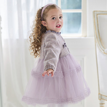 Toddler Girls Graceful Grey Purple Turtle Plush-lined Mesh Princess Dress
