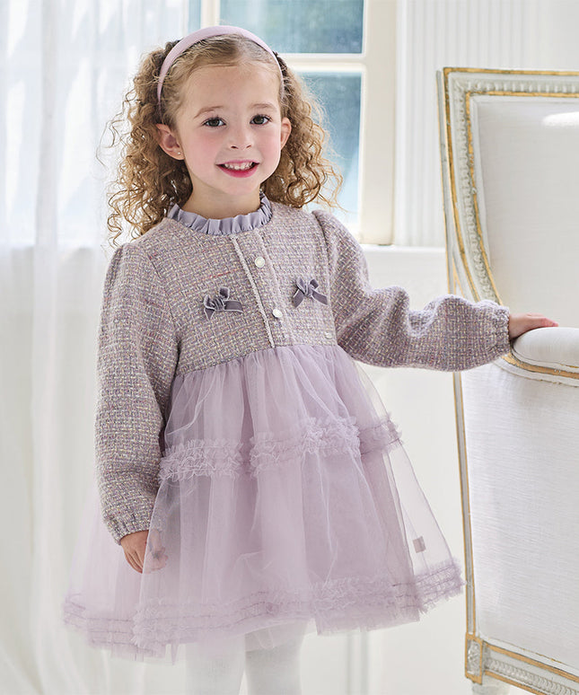 Toddler Girls Graceful Grey Purple Turtle Plush-lined Mesh Princess Dress