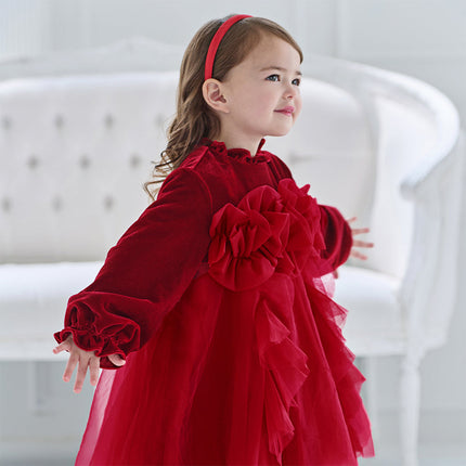 Toddler Girls Cute Red Soft Turtle Cozy A-line Mesh Princess Dress