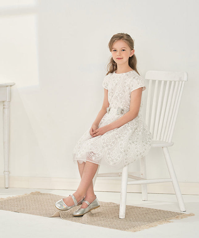 Kids Girls Summer Elegant Beige Embroidered Haute Couture Mesh Dress