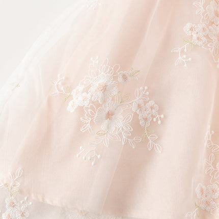 Kids Girls Summer Orange Pink Chinese-style Embroidery Elegant Mesh Dress