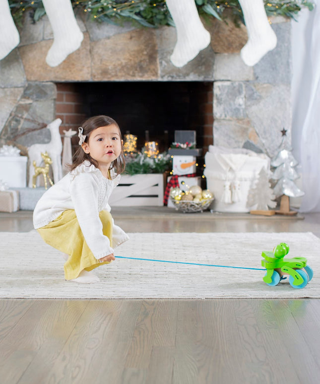 First Play Frolicking Frog Wooden Pull Toy