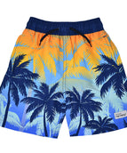 Sunset Palms