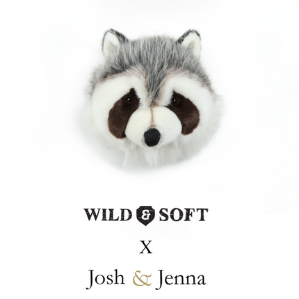 Wild & Soft X Josh & Jenna - Josh The Raccoon
