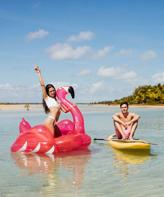 Flamingo Pool Float
