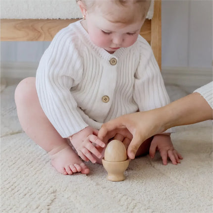 Tiny Land® Montessori Toys Set for Infants (10-12 Month)