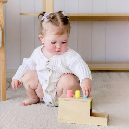 Tiny Land® Montessori Toys Set for Infants (10-12 Month)
