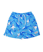 Shark Cyclone