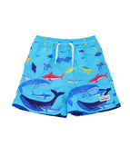 Ocean Fiesta