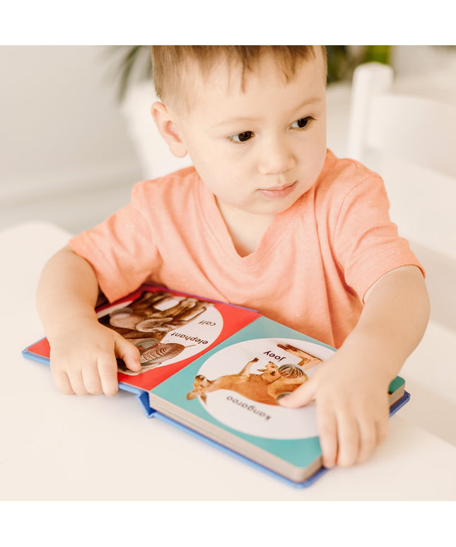 Poke-a-Dot: Wild Animal Families Board Book
