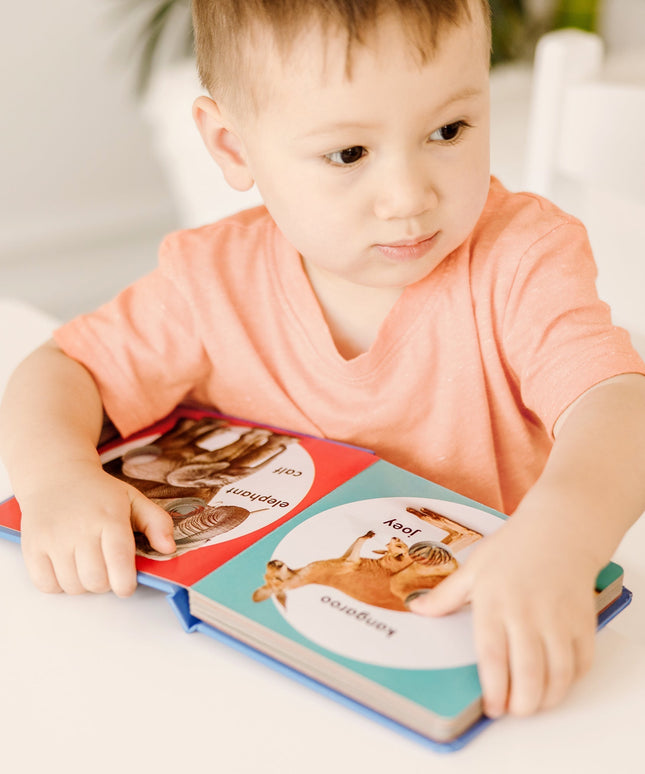 Poke-a-Dot: Wild Animal Families Board Book