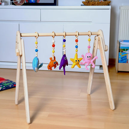 Montessori Baby Gym & Hanging Toys Set | Wooden Play Gym for Babies