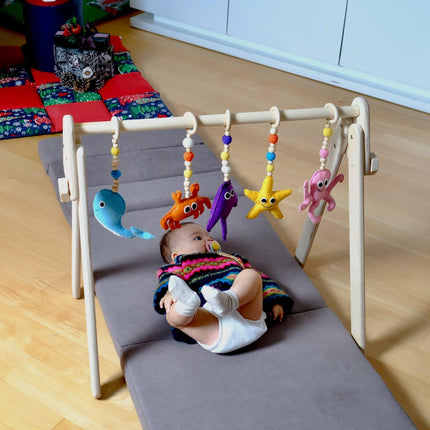 Montessori Baby Gym & Hanging Toys Set | Wooden Play Gym for Babies