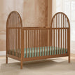 Chestnut (836)
