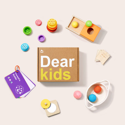 Tiny Land® Montessori Toys Set for Newborns ( 6-9 Month )
