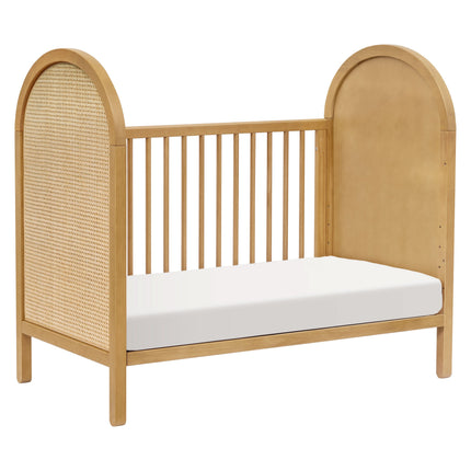 Bondi Cane 3-in-1 Convertible Crib with Toddler Bed Conversion Kit