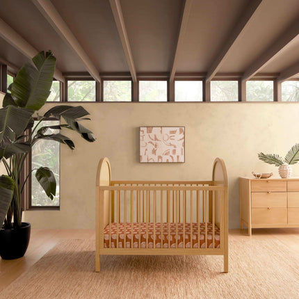 Bondi Cane 3-in-1 Convertible Crib with Toddler Bed Conversion Kit